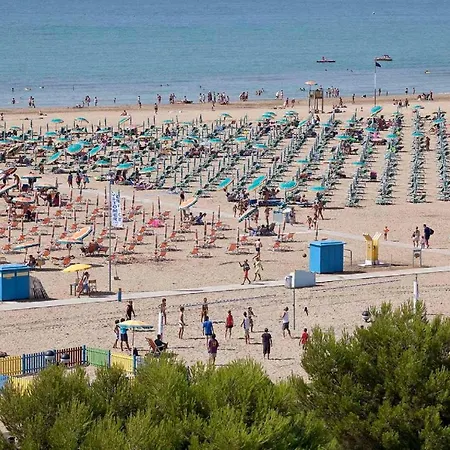 Appartamento In 38316