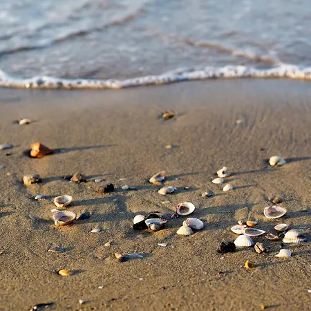 Apartman In 38316 Bibione