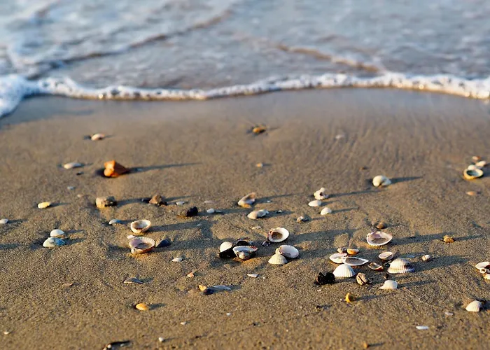 Apartman In 38316 Bibione